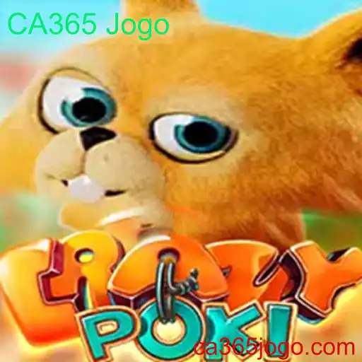 Descubra o Jogo CrazyPoki: Inovação e Diversão Garantida