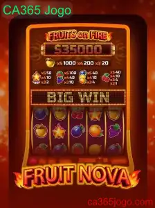 Descubra o Fascinante Mundo do Jogo FruitNova